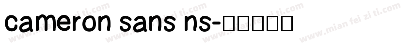 cameron sans ns字体转换
